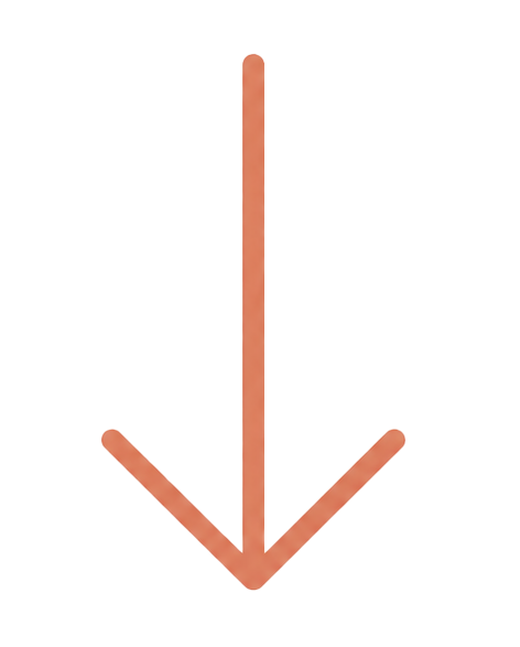 ↓